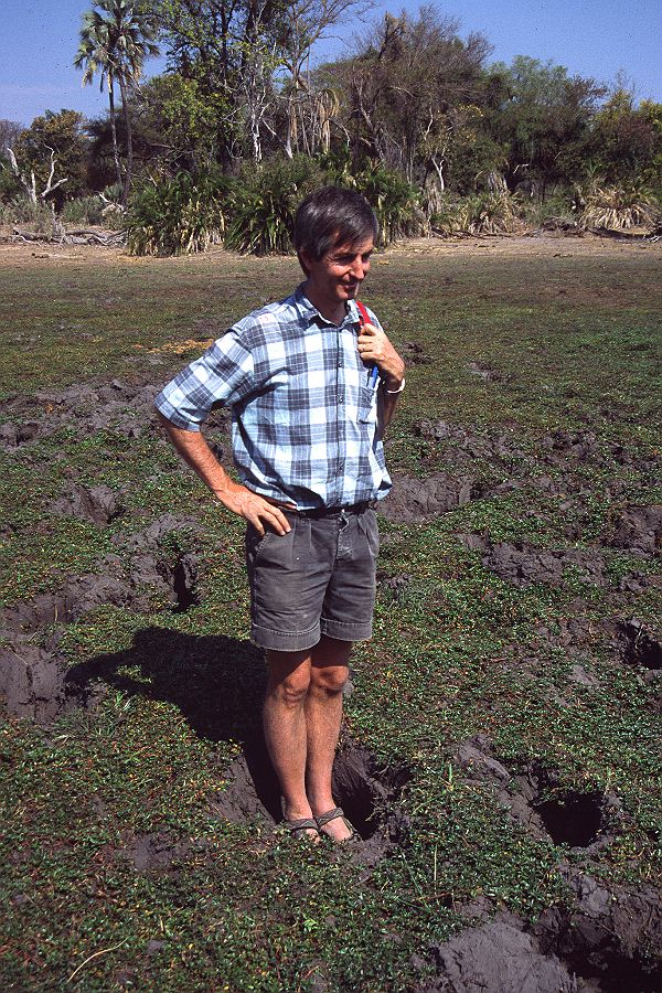 We all walk in the footprints of giants. Bioturbation in action: a younger Fred Ellery standing in an elephant footprint in the Okavango Delta